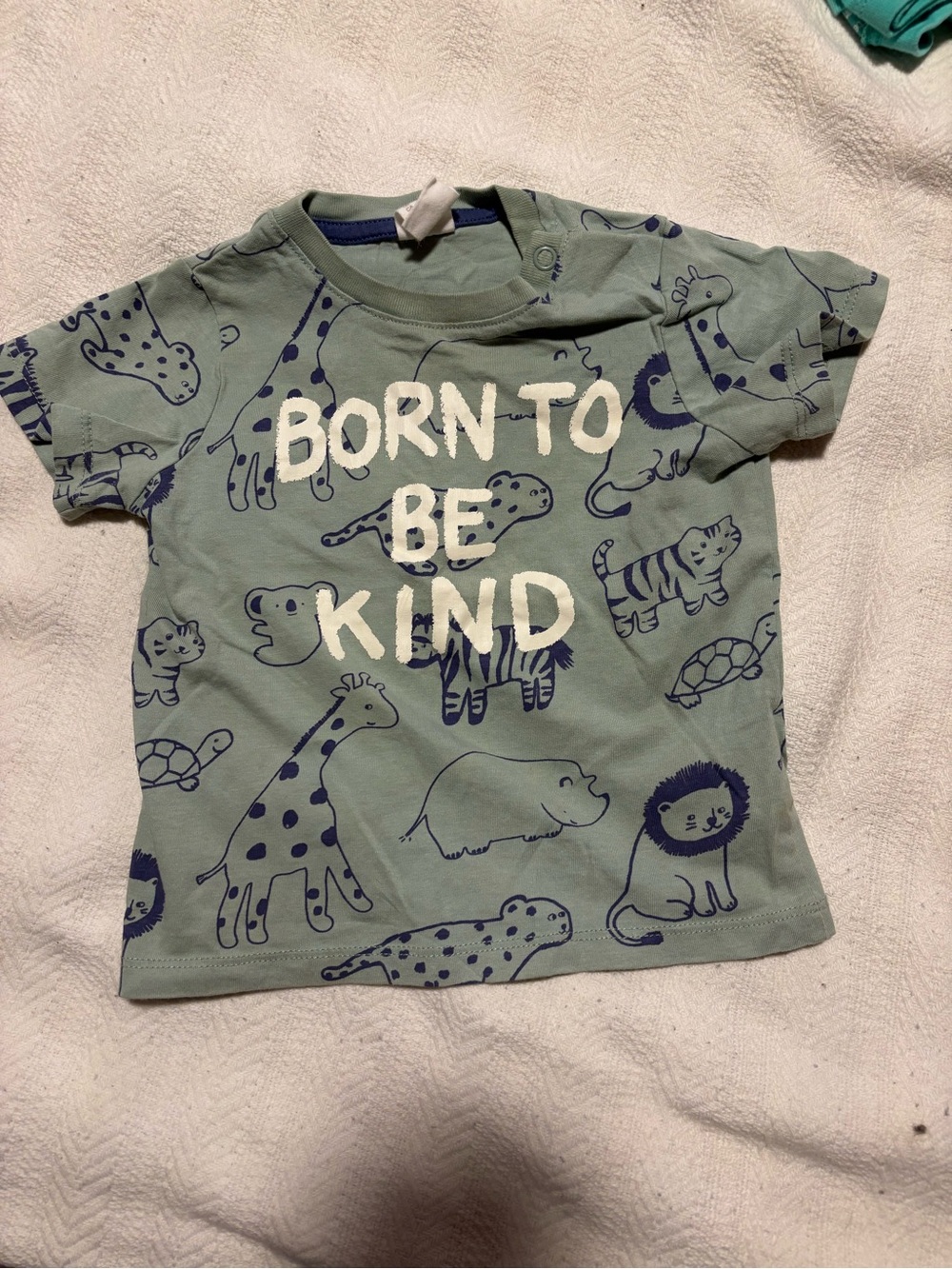 Kids 'Born to Be Kind' Green Animal Graphic Tee